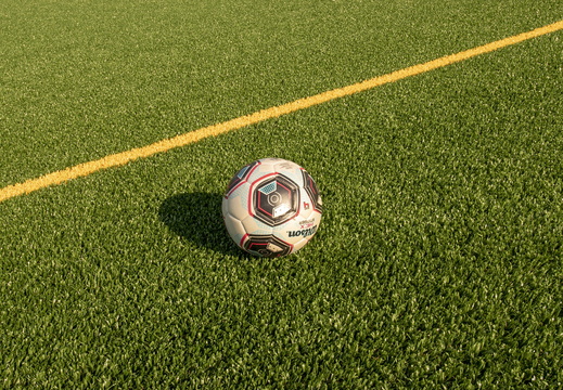 SportsGrass