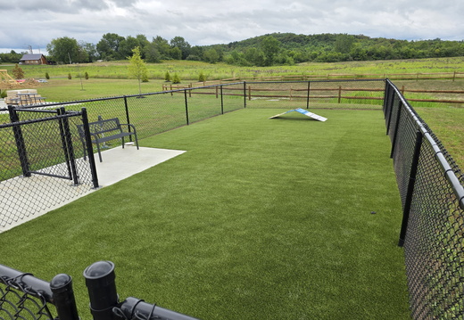 K9Grass Classic+