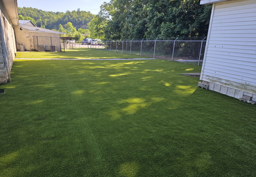 K9Grass Classic +